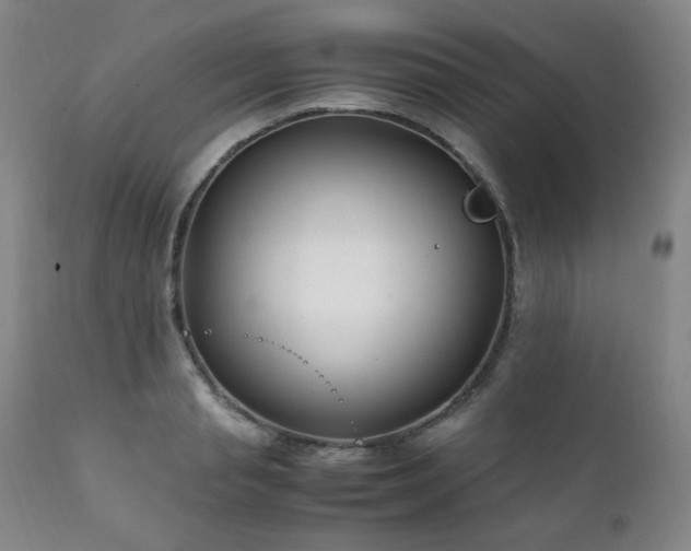 X0000111210845200907011441