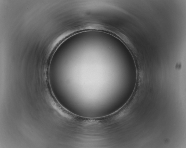 X0000111210846200907011441