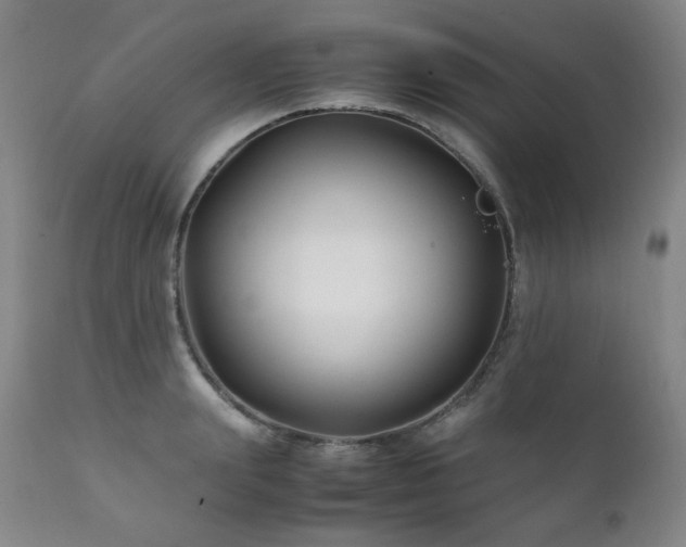 X0000111210847200907011441