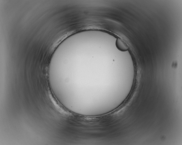 X0000111210849200907011442