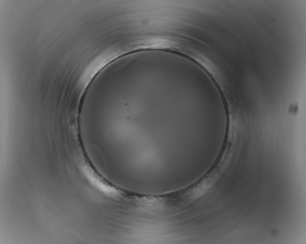 X0000111210850200907011442