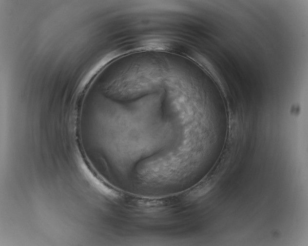 X0000111210851200907011442