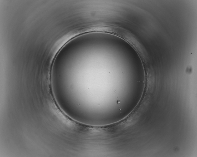 X0000111210852200907011442