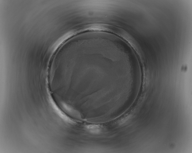 X0000111210853200907011442