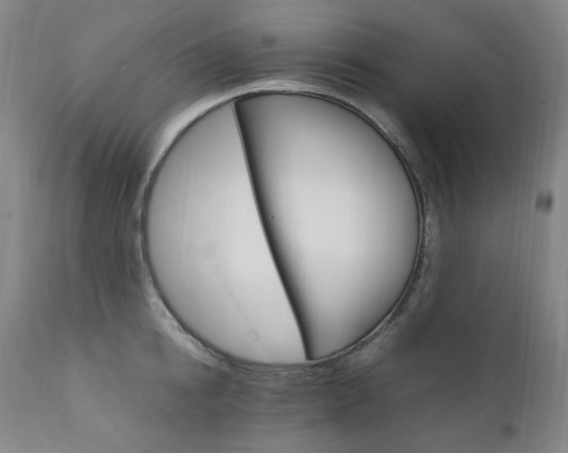 X0000111210854200907011442