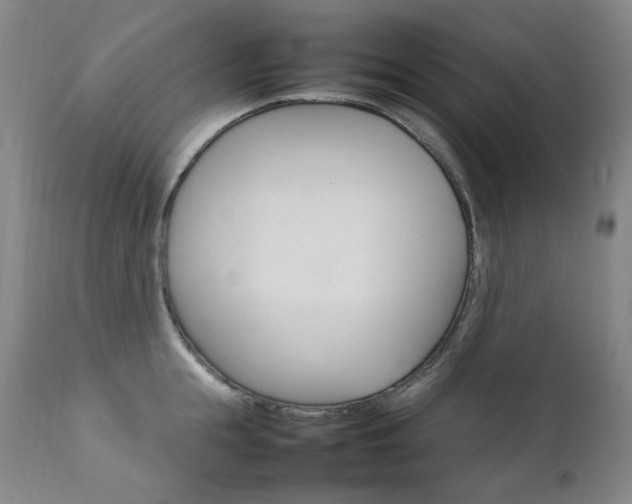 X0000111210855200907011442