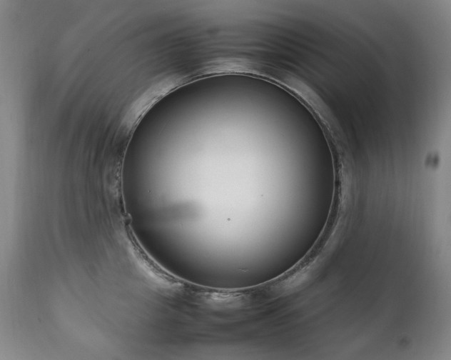 X0000111210857200907011442