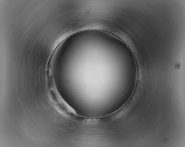 X0000111210858200907011442