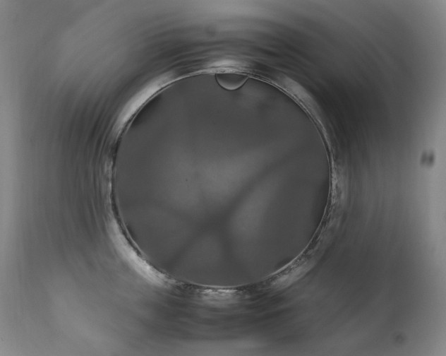 X0000111210859200907011442