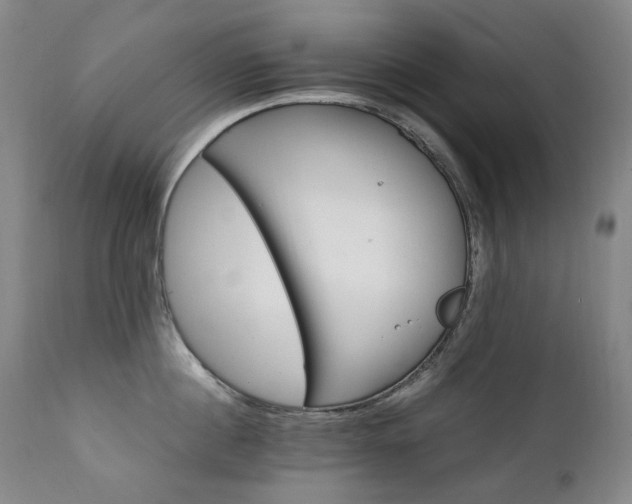 X0000111210860200907011442