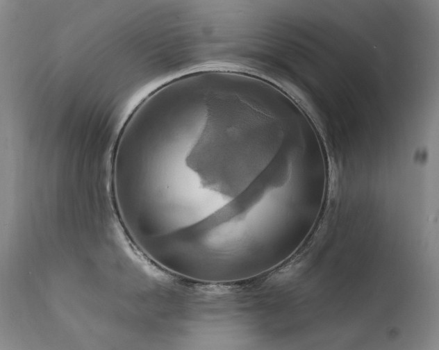 X0000111210862200907011442