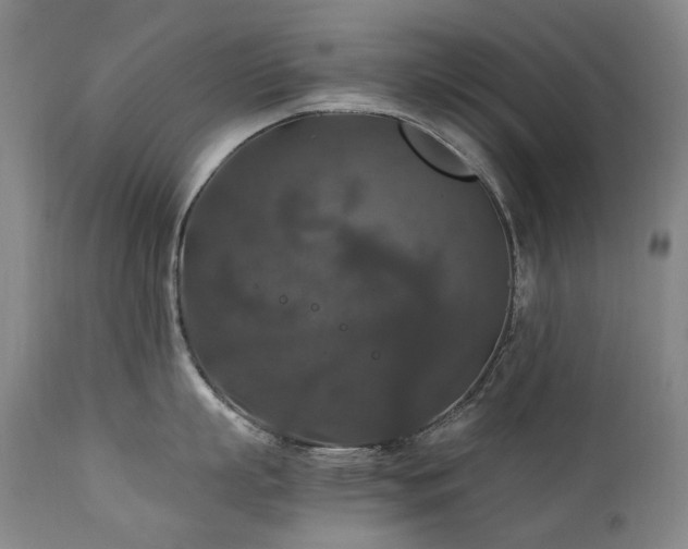 X0000111210863200907011442