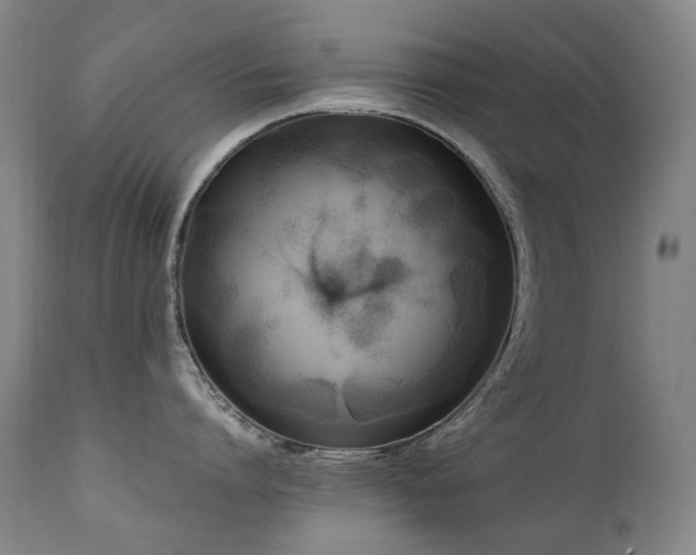 X0000111210864200907011442