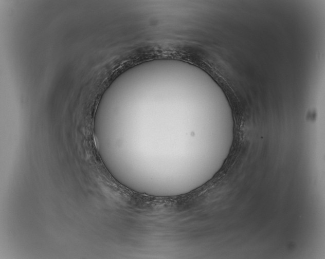 X0000111210865200907011441