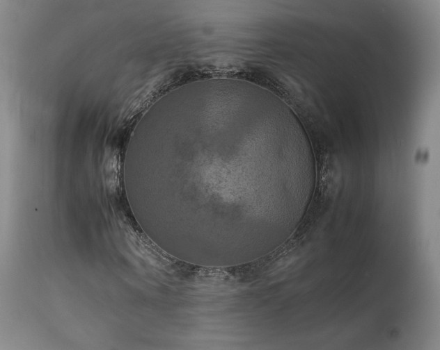 X0000111210866200907011441