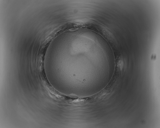 X0000111210868200907011441