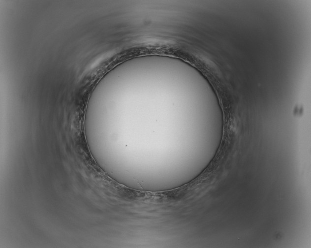 X0000111210869200907011441