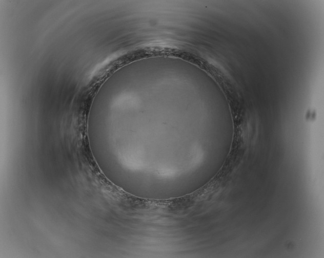 X0000111210870200907011441