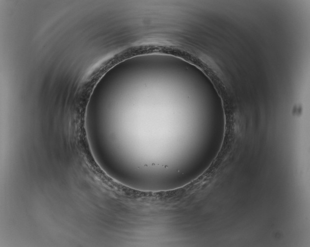 X0000111210872200907011441