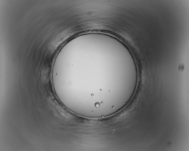 X0000111210873200907011441