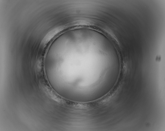 X0000111210874200907011441