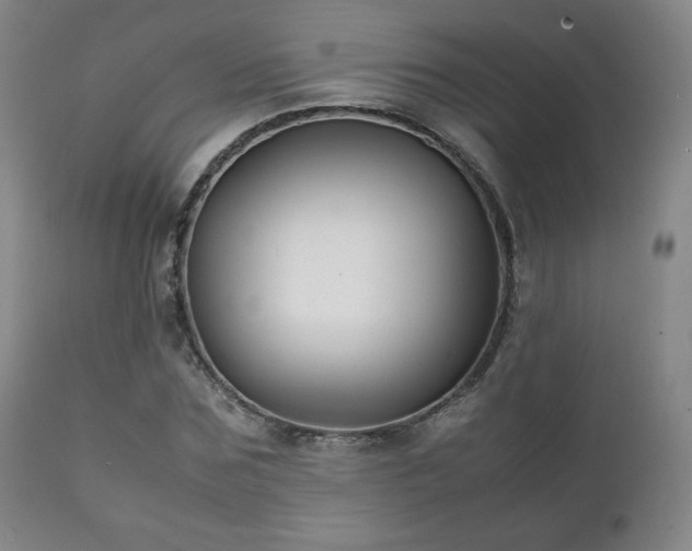 X0000111210875200907011441