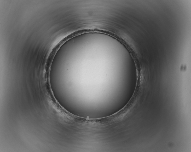 X0000111210876200907011441