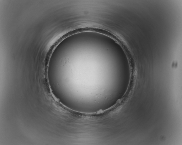 X0000111210877200907011441