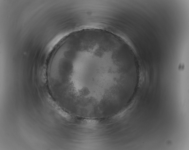 X0000111210878200907011441