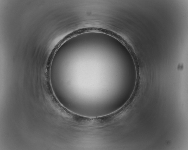 X0000111210879200907011441