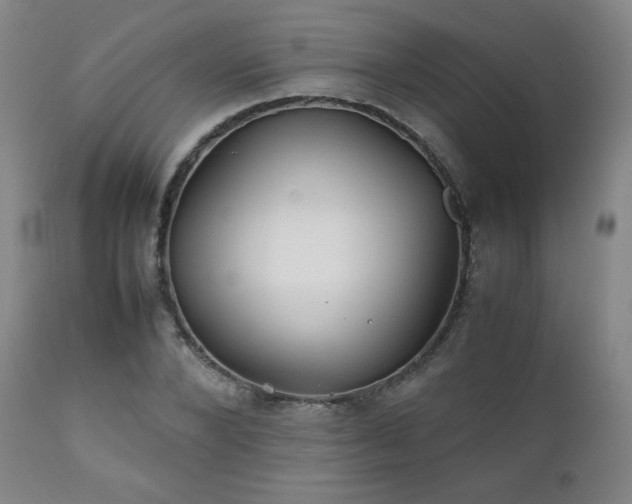 X0000111210880200907011441