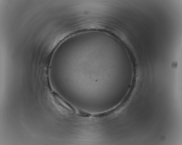 X0000111210881200907011441