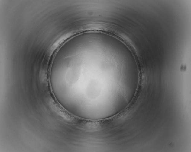 X0000111210882200907011441