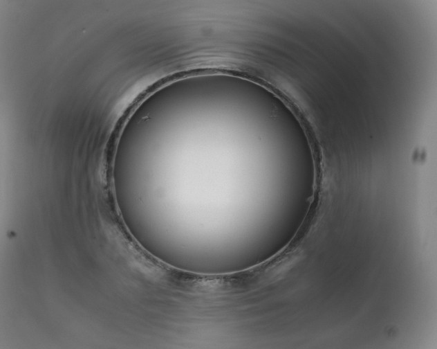 X0000111210883200907011441