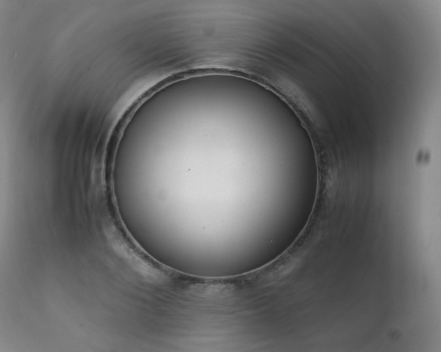 X0000111210884200907011441