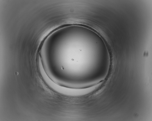 X0000111210885200907011441