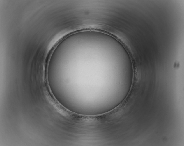 X0000111210886200907011441