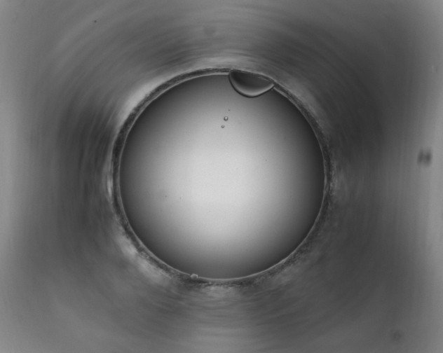 X0000111210888200907011441