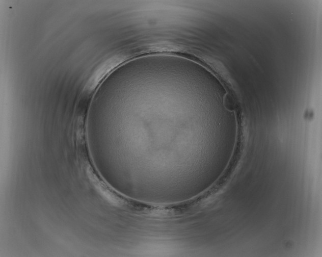 X0000111210889200907011441