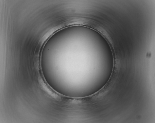 X0000111210890200907011441