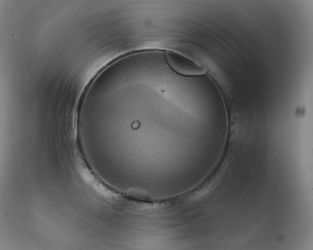 X0000111210892200907011440