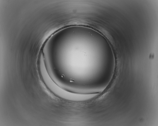 X0000111210893200907011440