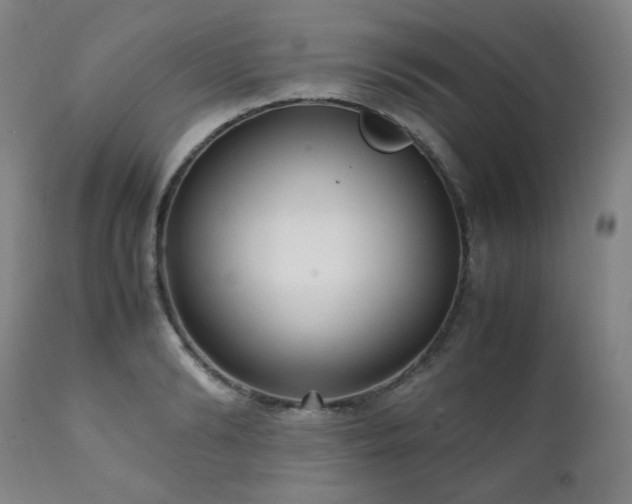 X0000111210894200907011440