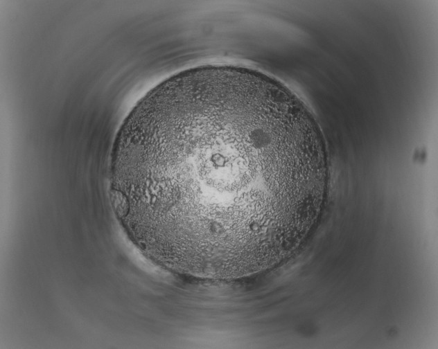 X0000111210895200907011440