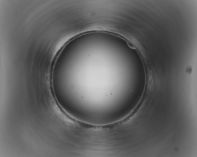 X0000111210896200907011440