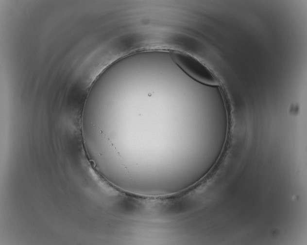 X0000111210897200907011440