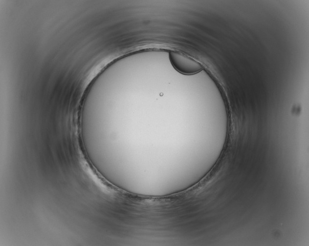 X0000111210898200907011440