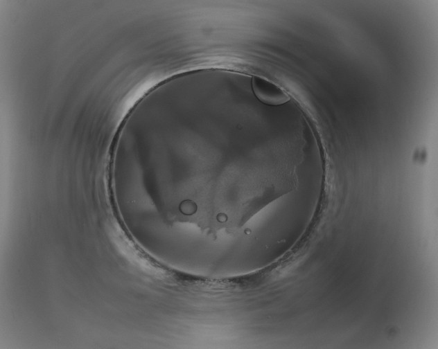 X0000111210899200907011440