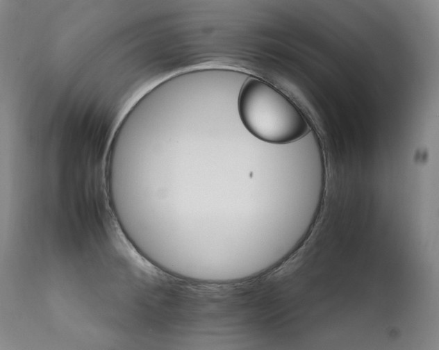 X0000111210900200907011440