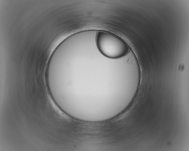 X0000111210901200907011440